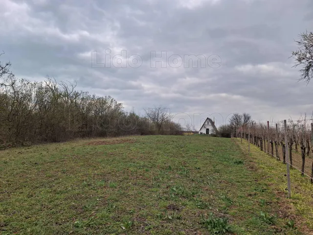 Eladó mezőgazdasági ingatlan Balatonalmádi 2177 nm