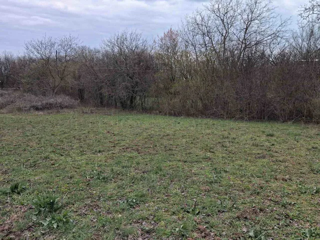 Eladó mezőgazdasági ingatlan Balatonalmádi 2177 nm