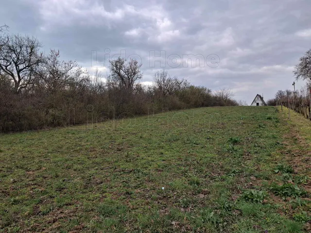 Eladó mezőgazdasági ingatlan Balatonalmádi 2177 nm