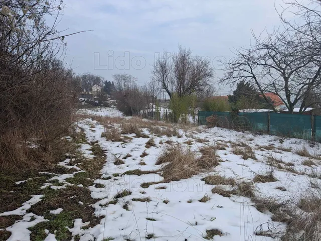 Eladó telek Alsóörs 2227 nm