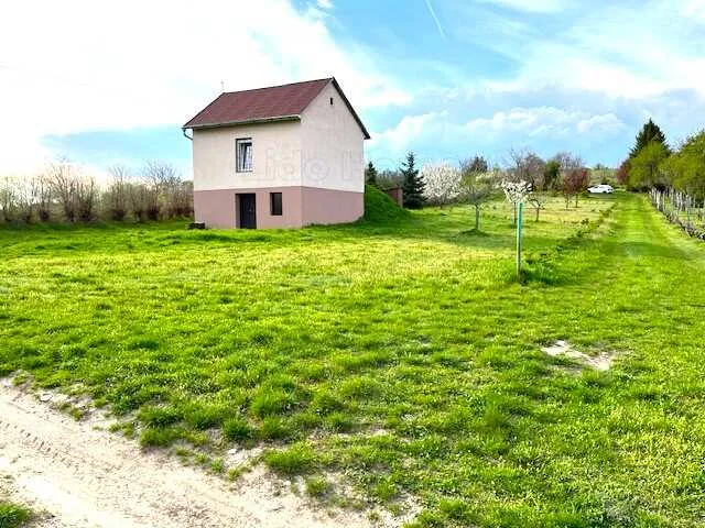 Eladó mezőgazdasági ingatlan Füle 45 nm