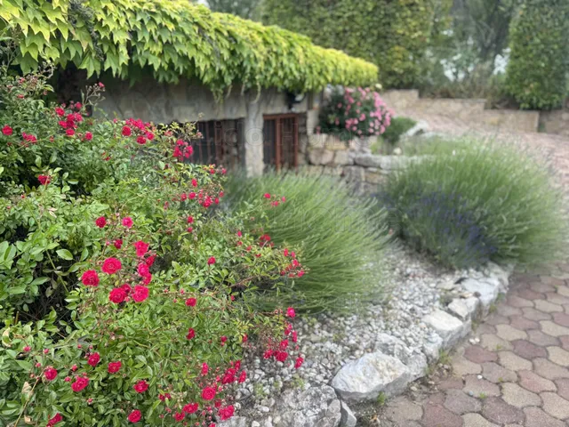 Eladó mezőgazdasági ingatlan Alsóörs 1425 nm