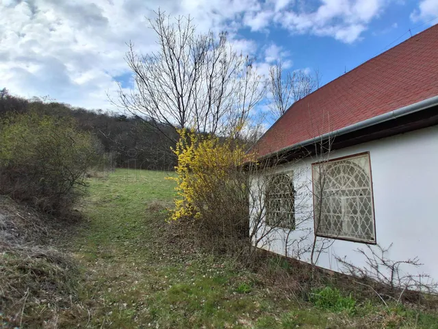 Eladó mezőgazdasági ingatlan Dörgicse 55 nm