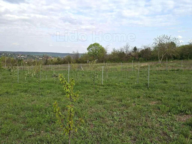 Eladó telek Balatonkenese 3038 nm