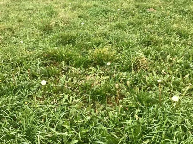 Eladó telek Márkó 1466 nm