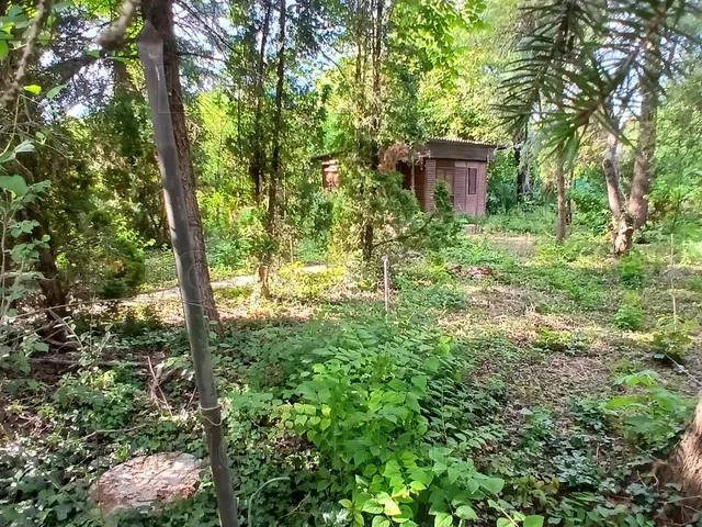Eladó telek Balatonkenese 720 nm