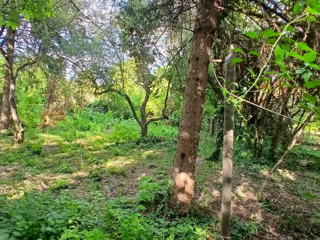 Eladó telek Balatonkenese 720 nm