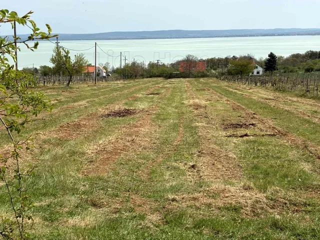 Eladó mezőgazdasági ingatlan Balatonszepezd 6954 nm