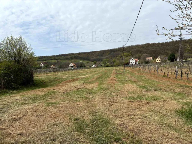 Eladó mezőgazdasági ingatlan Balatonszepezd 6954 nm
