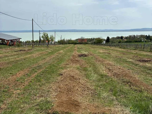 Eladó mezőgazdasági ingatlan Balatonszepezd 6954 nm