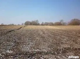 Eladó telek Nagykanizsa 11749 nm