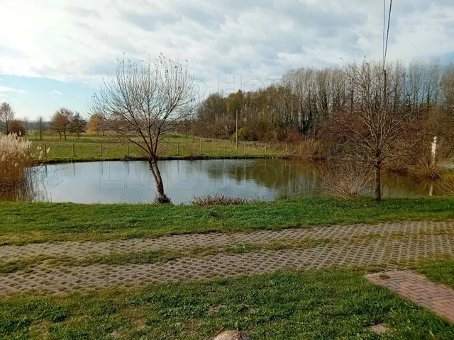Eladó ház Galambok 1219 nm