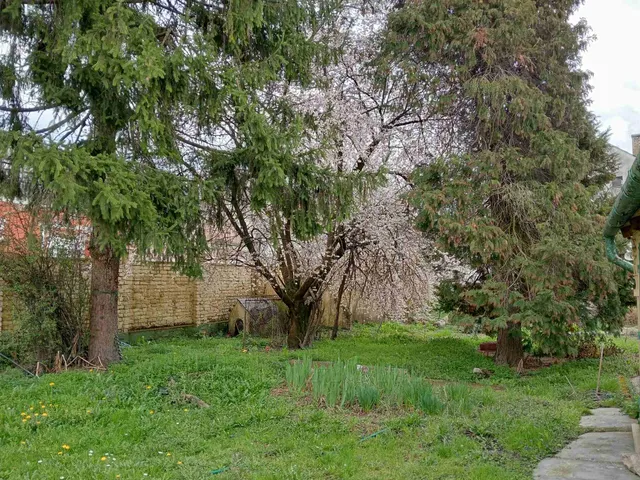 Eladó ház Nagykanizsa 100 nm