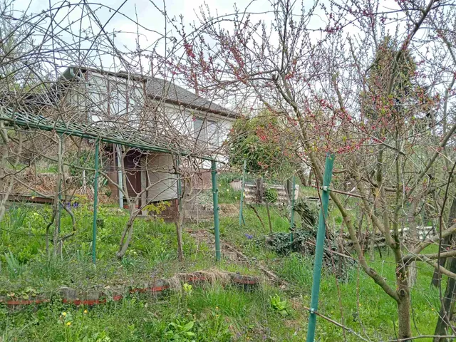 Eladó mezőgazdasági ingatlan Nagykanizsa 20 nm