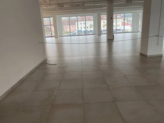 Kiadó kereskedelmi és ipari ingatlan Nagykanizsa, Belváros 1100 nm