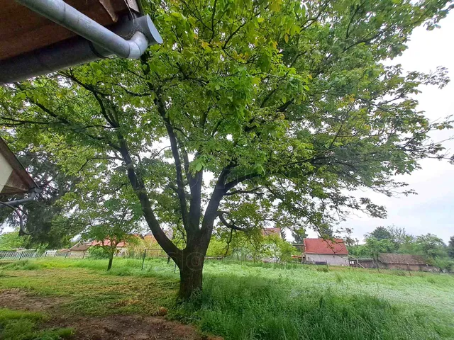 Eladó ház Orosztony 150 nm