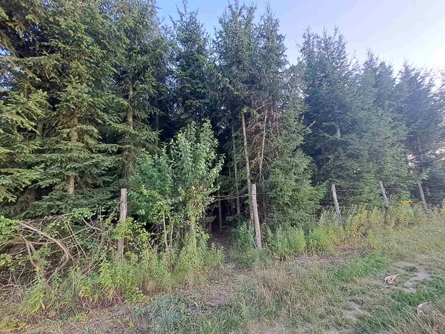 Eladó telek Nagykanizsa, Palin 9308 nm
