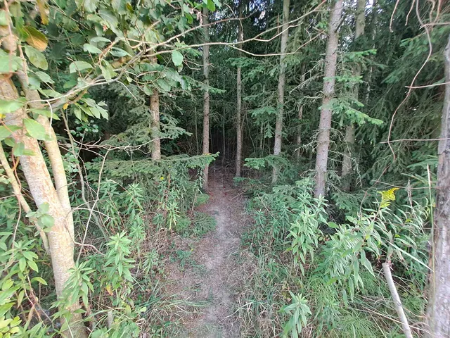 Eladó telek Nagykanizsa, Palin 9308 nm