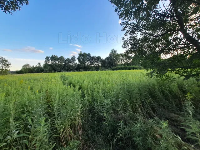 Eladó mezőgazdasági ingatlan Nagykanizsa 7616 nm