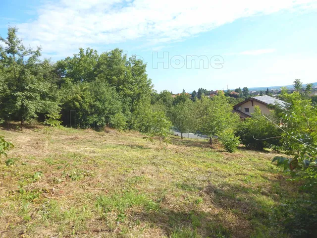 Eladó mezőgazdasági ingatlan Zalaegerszeg 3605 nm