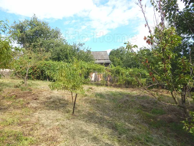 Eladó mezőgazdasági ingatlan Zalaegerszeg 3605 nm