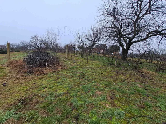 Eladó mezőgazdasági ingatlan Nagykanizsa, Látóhegy 30 nm