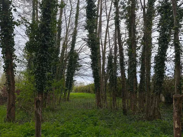 Eladó ház Gyékényes 55 nm