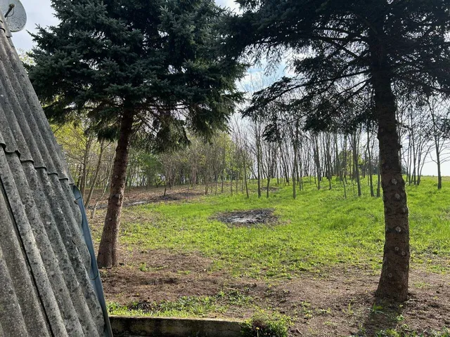 Eladó üdülő és hétvégi ház Homokkomárom 98 nm