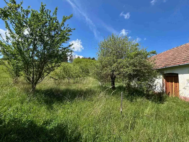 Eladó mezőgazdasági ingatlan Homokkomárom 16668 nm