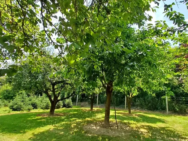Eladó telek Nagykanizsa, Látóhegy 1819 nm