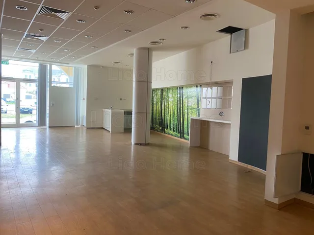 Kiadó kereskedelmi és ipari ingatlan Nagykanizsa, Belváros 270 nm
