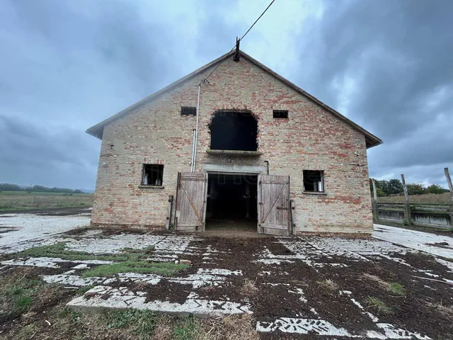Eladó mezőgazdasági ingatlan Gelse 1700 nm
