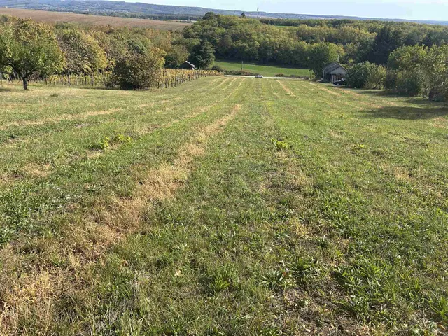 Eladó mezőgazdasági ingatlan Homokkomárom 5439 nm