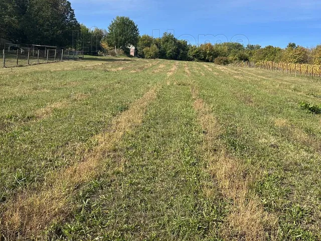 Eladó mezőgazdasági ingatlan Homokkomárom 5439 nm