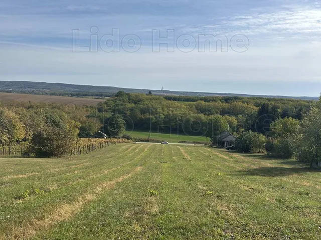 Eladó mezőgazdasági ingatlan Homokkomárom 5439 nm