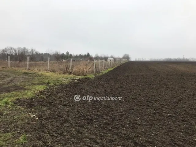 Eladó telek Velence, Arany János utca 15000 nm