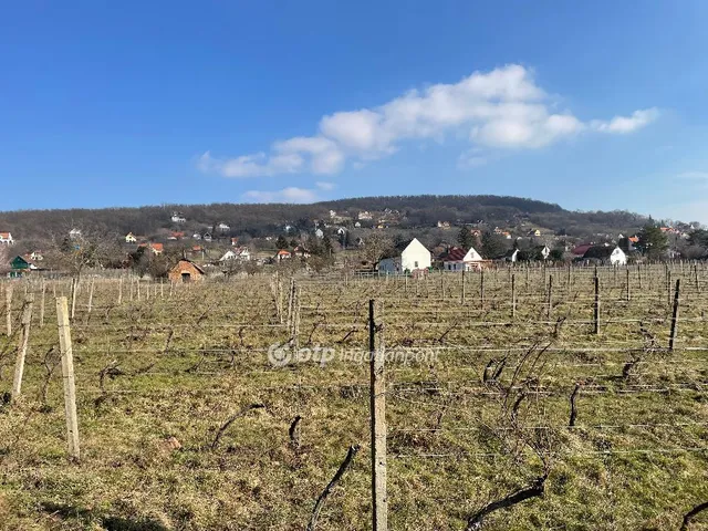 Eladó telek Kővágóörs, Kővágóörs Révfülöp határa 10593 nm