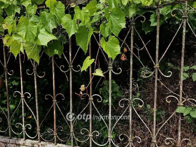 Eladó üdülő és hétvégi ház Pilis 25 nm