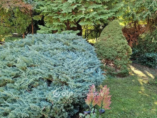 Eladó ház Budapest II. kerület, Adyliget 115 nm