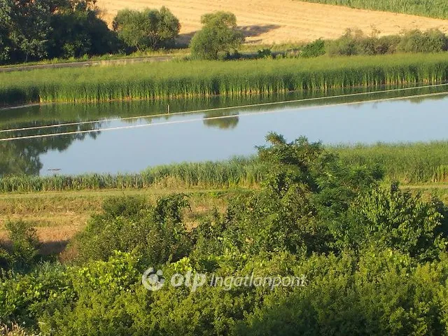Eladó telek Villánykövesd 1694 nm