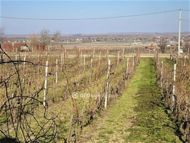 Eladó ház Siójut, Siójut szőlőhegy 108 nm