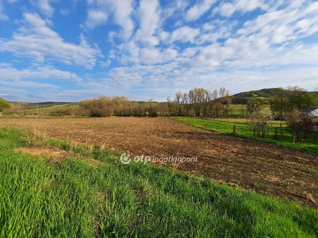 Eladó telek Bábonymegyer 1569 nm