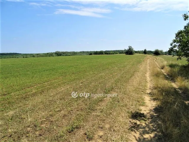 Eladó mezőgazdasági ingatlan Kőröshegy 5237 nm