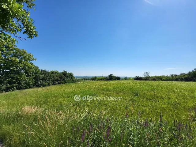 Eladó mezőgazdasági ingatlan Ságvár 1562 nm