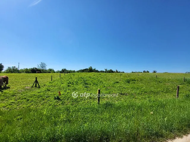 Eladó mezőgazdasági ingatlan Ságvár, Szőlőhegy zártkert 1562 nm