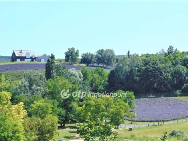 Eladó ház Kőröshegy, Örökpanorámás szőlőhegy 304 nm