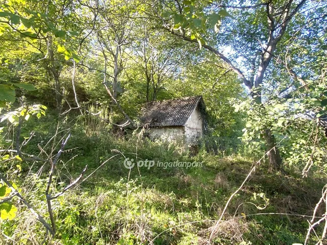 Eladó telek Nagyberény 8296 nm