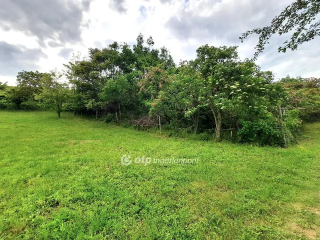 Eladó mezőgazdasági ingatlan Ságvár 3123 nm