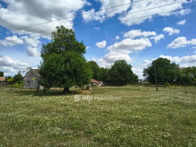 Eladó mezőgazdasági ingatlan Lajoskomárom 2163 nm