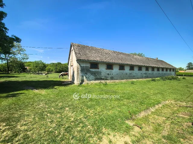 Eladó mezőgazdasági ingatlan Lajoskomárom 2163 nm